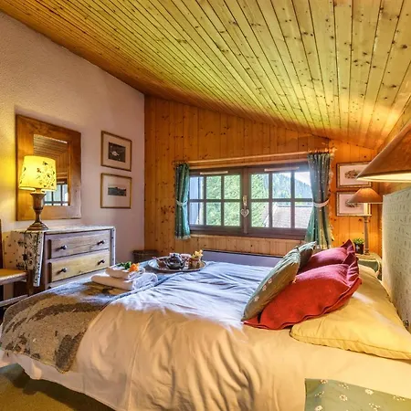Cimes 89 Apt Paradis Montagnard - Happy * Chamonix